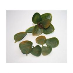 Joefix - Vegetación gruesa. Escala 1/48 -1/35. Pegar pieza una a una con cyano. Para dioramas. Ref: 205.