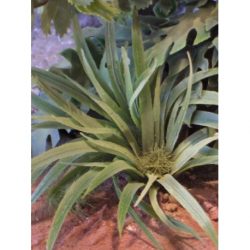 Joefix - Vegetación hierba. Para dioramas, Ref: 207.