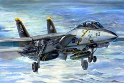 Grumman F-14B Tomcat. Escala 1:32. Marca Trumpeter. Ref: 03202.