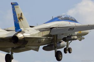 F-14D TOMCAT™ “VF-213 BLACKLIONS LAST CRUISE”. Escala 1:72. Marca Hasegawa. Ref: 02406, diseñado para portaaviones, conocido como "Blacklions", El término "Last Cruise" hace referencia a la última misión de despliegue de un escuadrón o de una aeronave ant 2 F-14D Paint Question for VF-213 - (https://cs.finescale.com/fsm/modeling_subjects/f/2/t/182365.aspx)