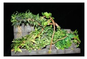 Conjunto Vegetación de la selva, Marca Joefix, Ref: 220