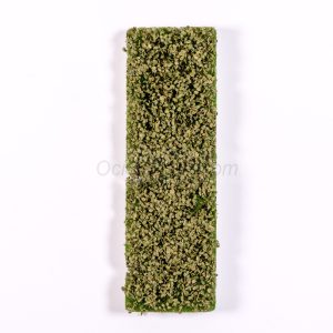 BEECH FOLIAGE SUMMER. Marca AK Interactive. Ref: AK8145