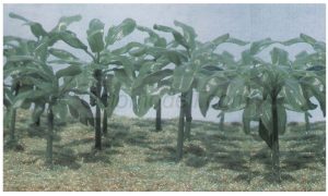 15 banana trees. Escala 1:72, altura entre 3.8cm y 6.4cm. Marca Pegasus. Ref: PG6509