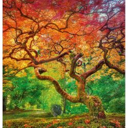 Arterial Spray, 1000 pz. Marca Cherry Pazzi. Ref: 30530