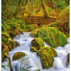 Silky Smooth, 1000 pz. Marca Cherry Pazzi. Ref: 30615