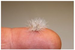 Mechones de Cesped invierno, Marca Joefix, Ref: 145