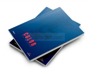 COLOR , Angel Giraldez y Pedro Gonzalez. EN. Marca Vallejo. Ref: 75090